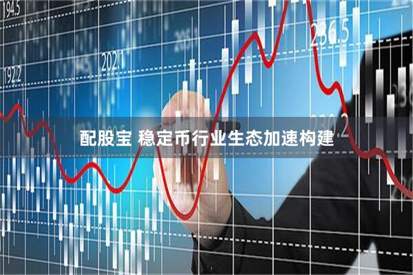 配股宝 稳定币行业生态加速构建
