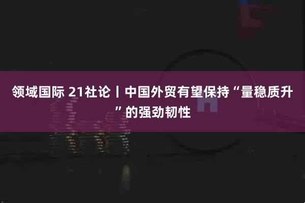 领域国际 21社论丨中国外贸有望保持“量稳质升”的强劲韧性