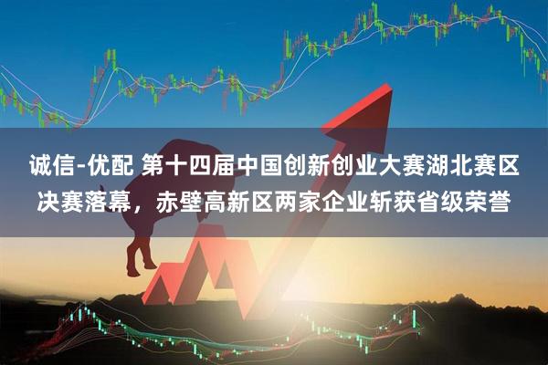 诚信-优配 第十四届中国创新创业大赛湖北赛区决赛落幕，赤壁高新区两家企业斩获省级荣誉