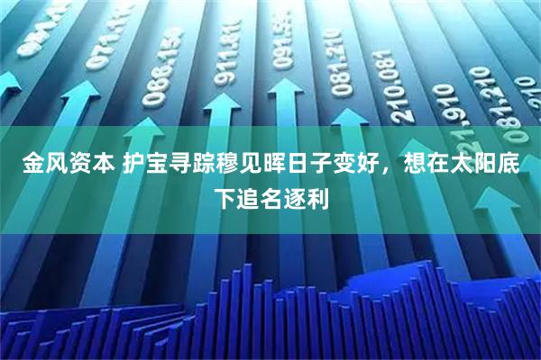 金风资本 护宝寻踪穆见晖日子变好,想在太阳底下追名逐利