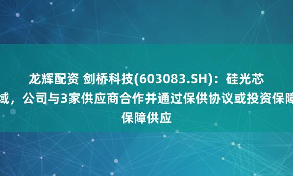 龙辉配资 剑桥科技(603083.SH)：硅光芯片领域，公司与3家供应商合作并通过保供协议或投资保障供应