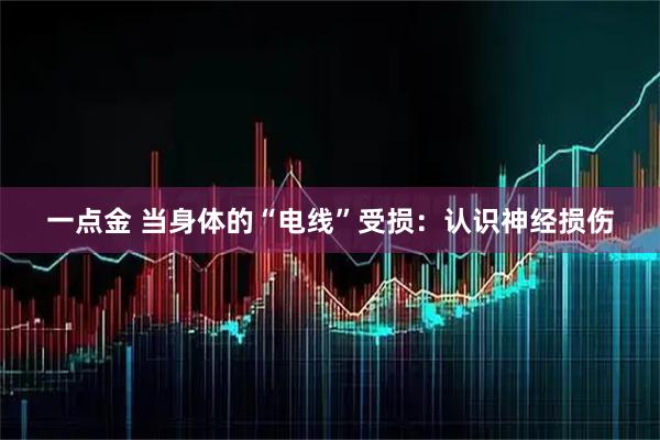 一点金 当身体的“电线”受损：认识神经损伤